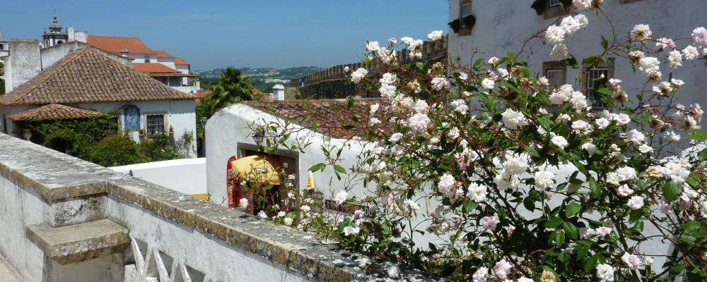 Carmona Apartment Sao Martinho do Porto Exterior photo